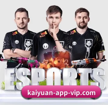 kaiyuan-app-vip.com APP 界面